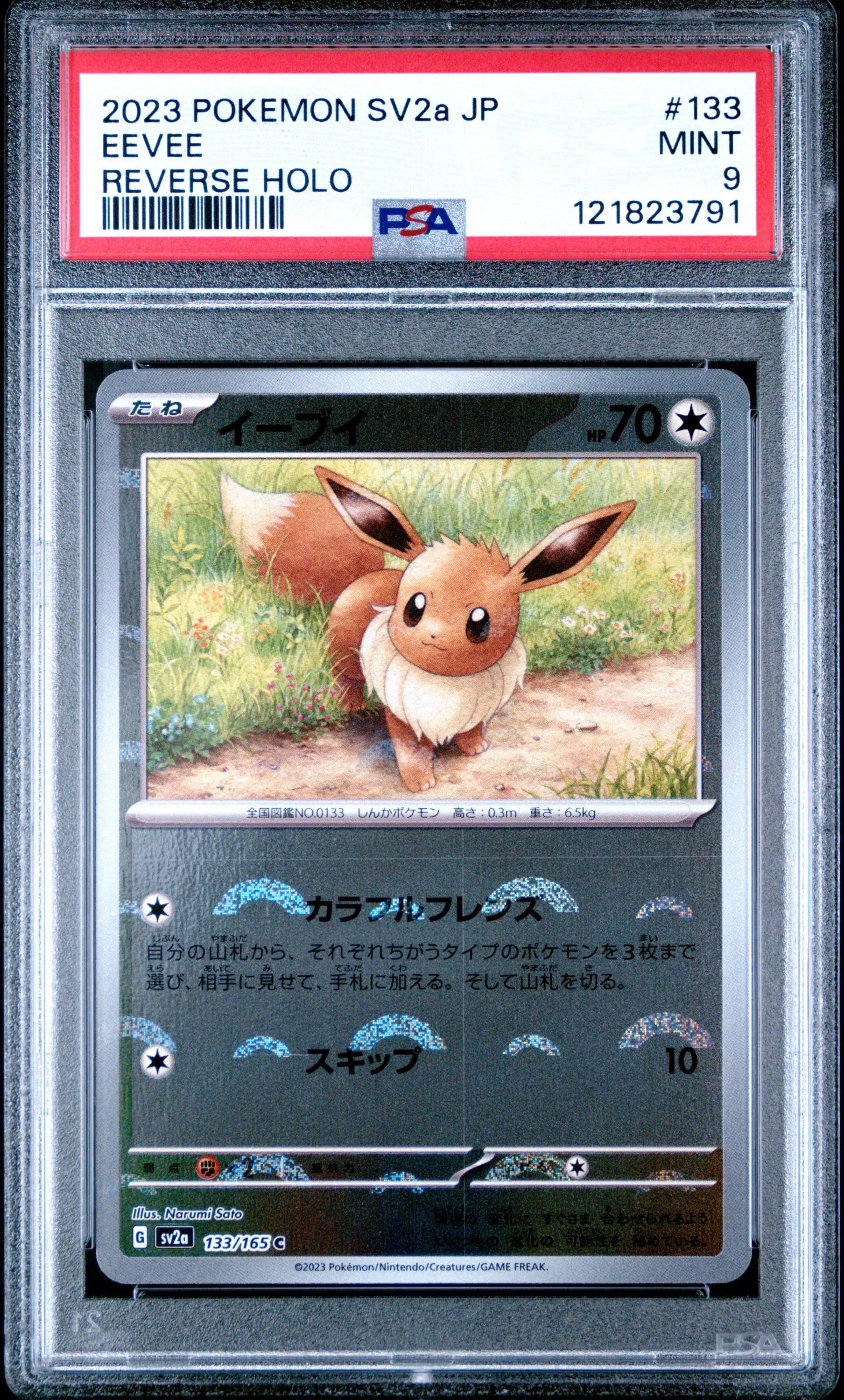Japanese reverse holo Eevee Pokémon trading card PSA 9 2023 Pokemon Japanese Sv2a-Pokemon 151