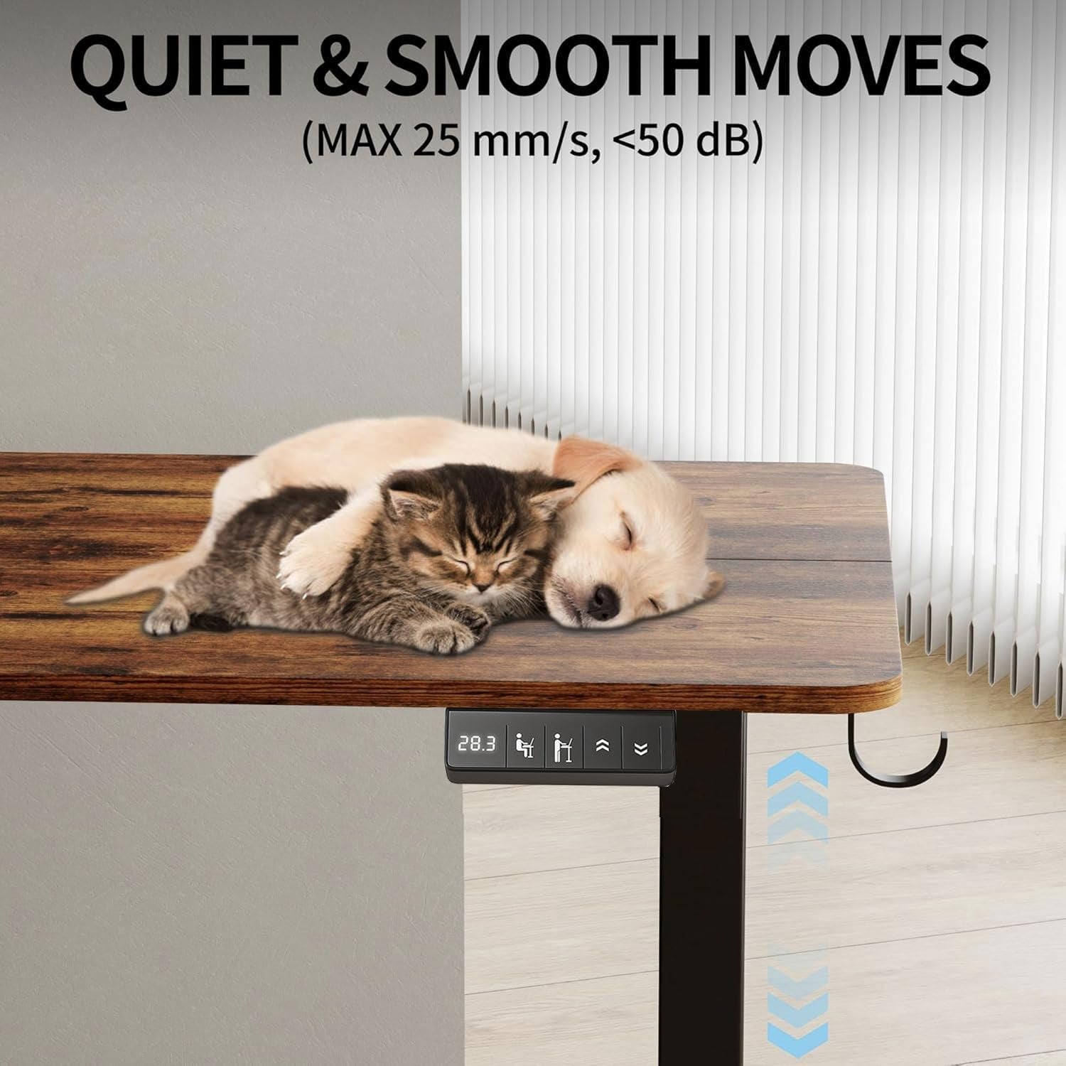 Electric Height Adjustable Standing Desk with Casters-4