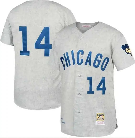 Gray Chicago Cubs baseball jersey featuring Ernie Banks Chicago Cubs Gray Away 1969 Authentic Jersey