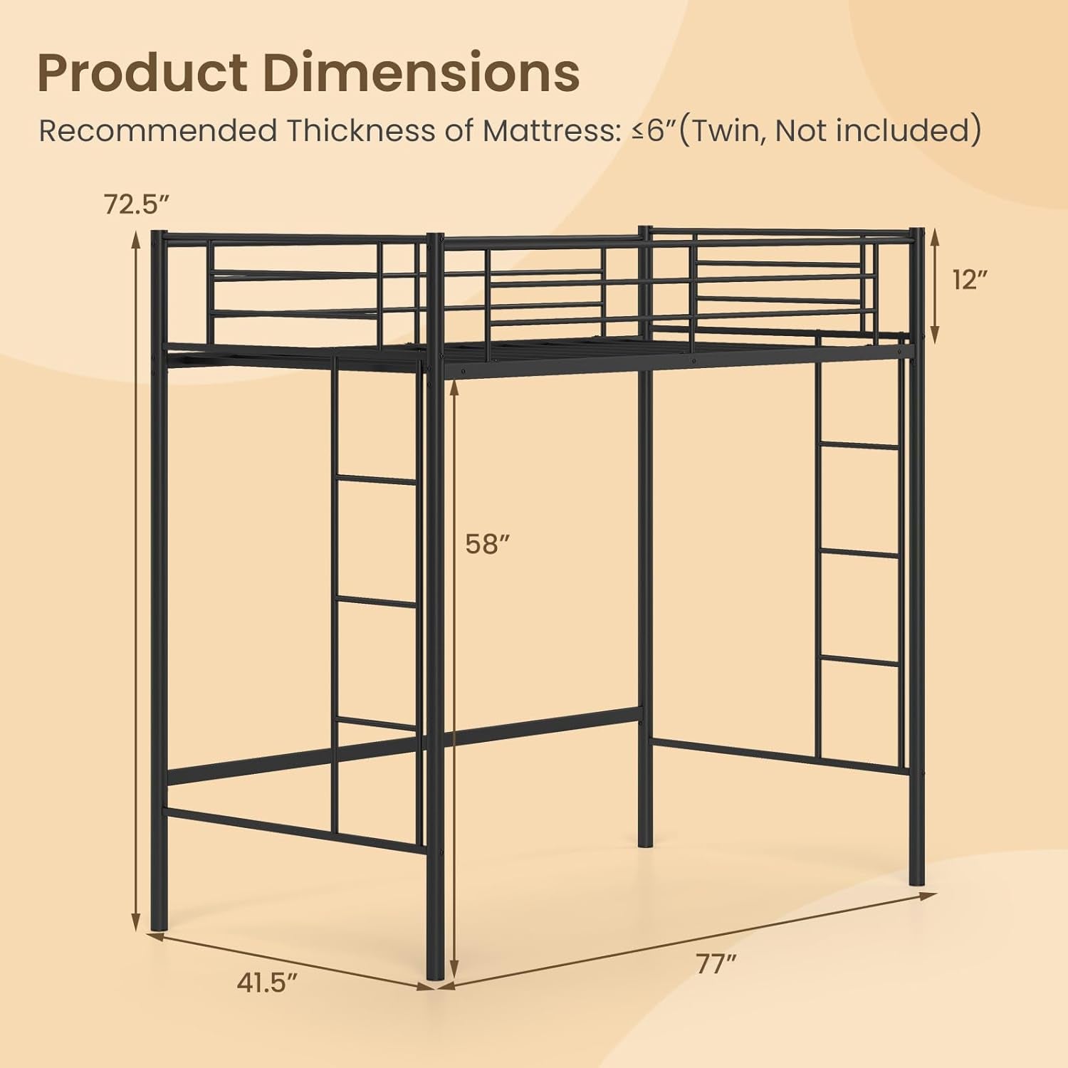 Black Twin Loft Bed with Dual Ladders-2