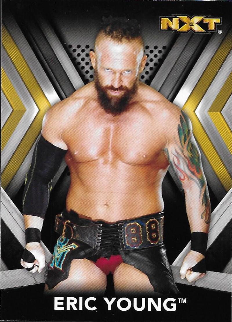 2017 Topps NXT #13 Eric Young NM-MT