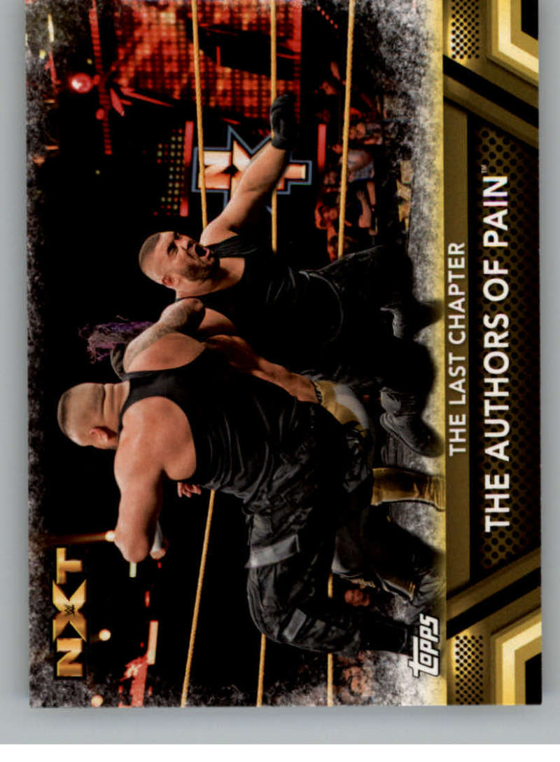 2017 Topps Then Now Forever Finishers and Signature Moves #F-46 The Authors of Pain The Last Chapter NM-MT