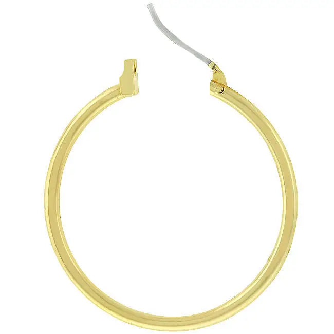Golden Hoop Earrings - Earrings
