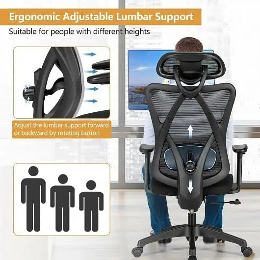 High Back Mesh Executive Chair with Adjustable Lumbar Support - Color:Black - Ergonomic Chairs