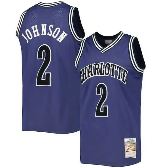 Purple Charlotte Hornets Larry Johnson 1994/95 Hardwood Classics Swingman Jersey