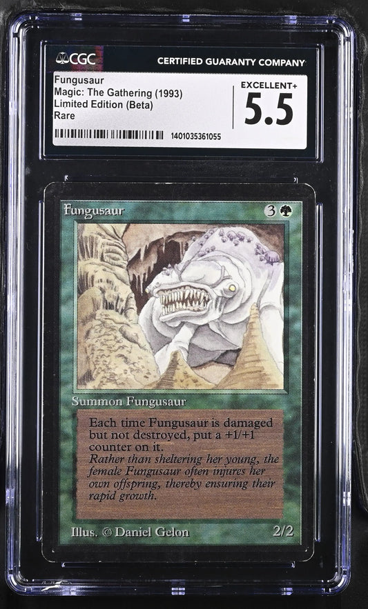 Graded Beta Edition Magic: The Gathering Fungusaur card CGC 5.5 in protective case