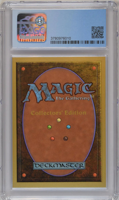 Graded Magic: The Gathering card back in protective case for collectors trading cards