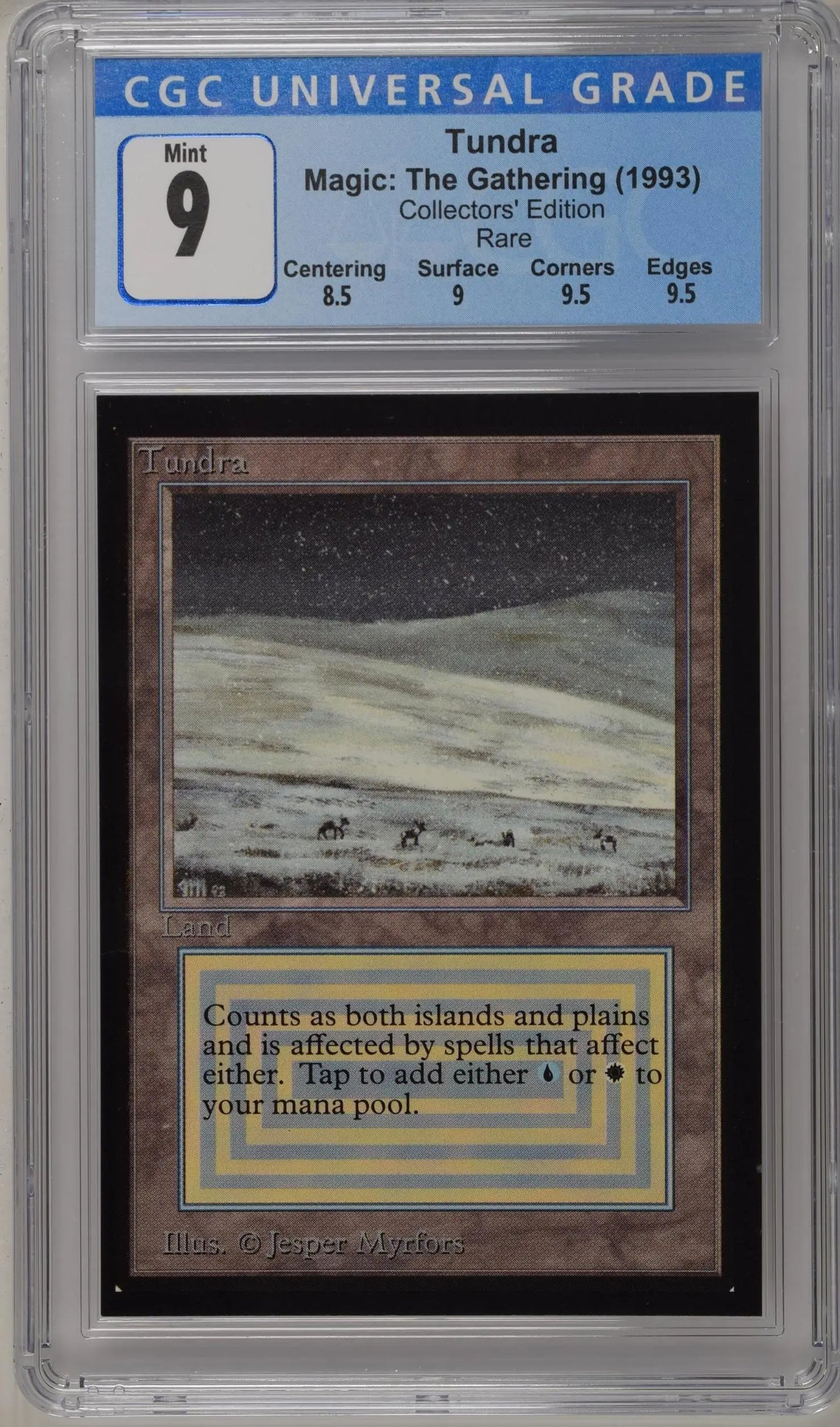 Graded Magic: The Gathering Tundra card from 1993 Collectors’ Edition trading cards