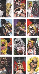 Moonstone Domino Lady & The Spider Card Master Set featuring comic book-style characters