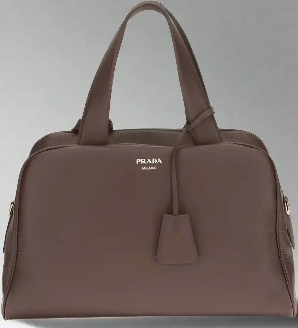 PRADA women's brown Leather Handbag | STORE 7994