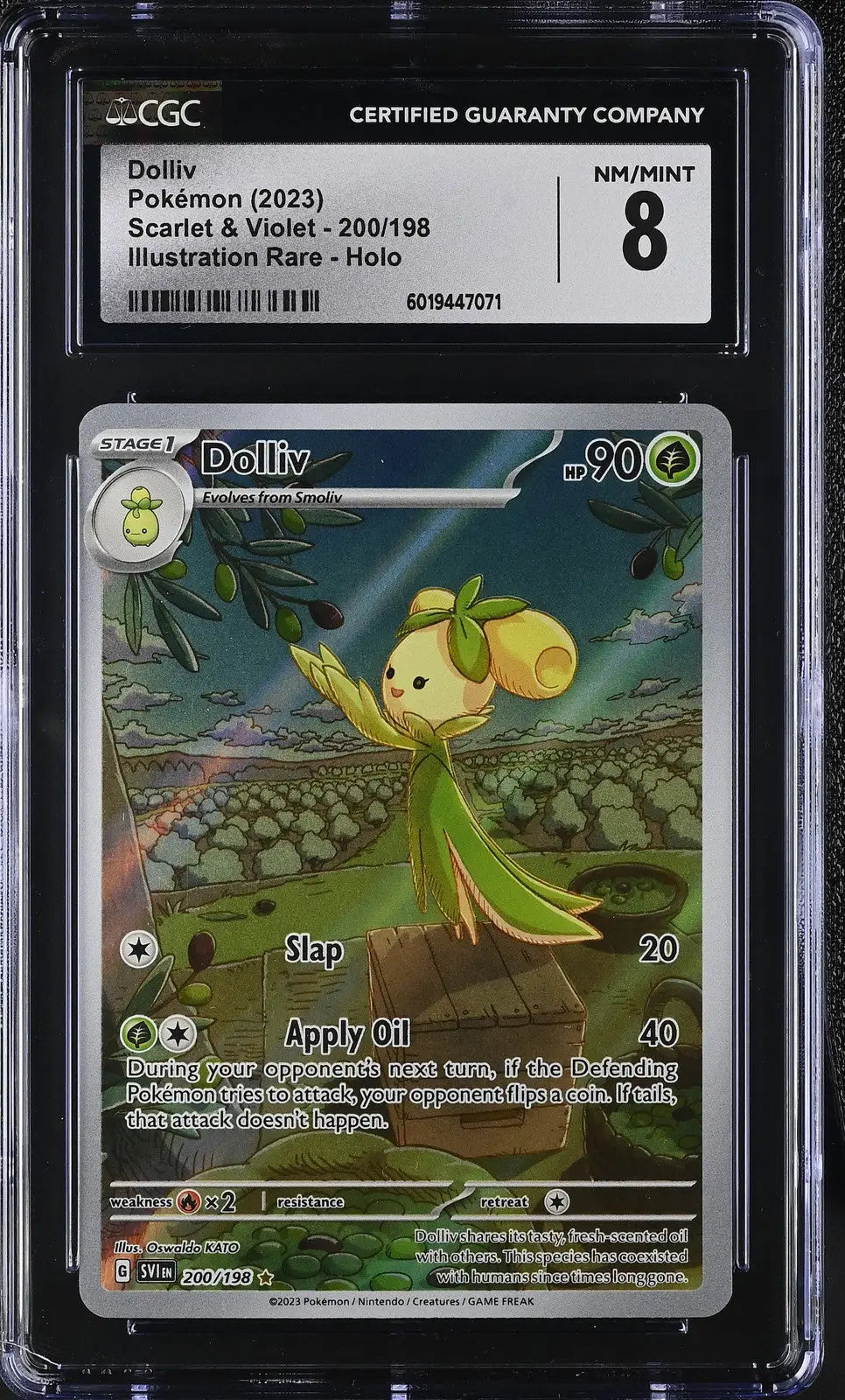 English CGC graded holographic Pokémon Dolliv card from Scarlet & Violet set rated NM/MINT 8