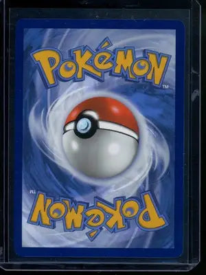 Pokemon TCG Eevee card in clear sleeve from Scarlet & Violet Temporal Forces set