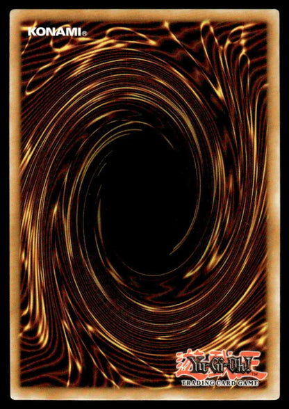 Yu-Gi-Oh! trading card back with brown and gold spiral design for Icejade Creation Aegirocassis