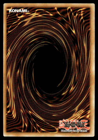 Yu-Gi-Oh! Power of the Elements Hydralander Orbit card back with brown and gold vortex