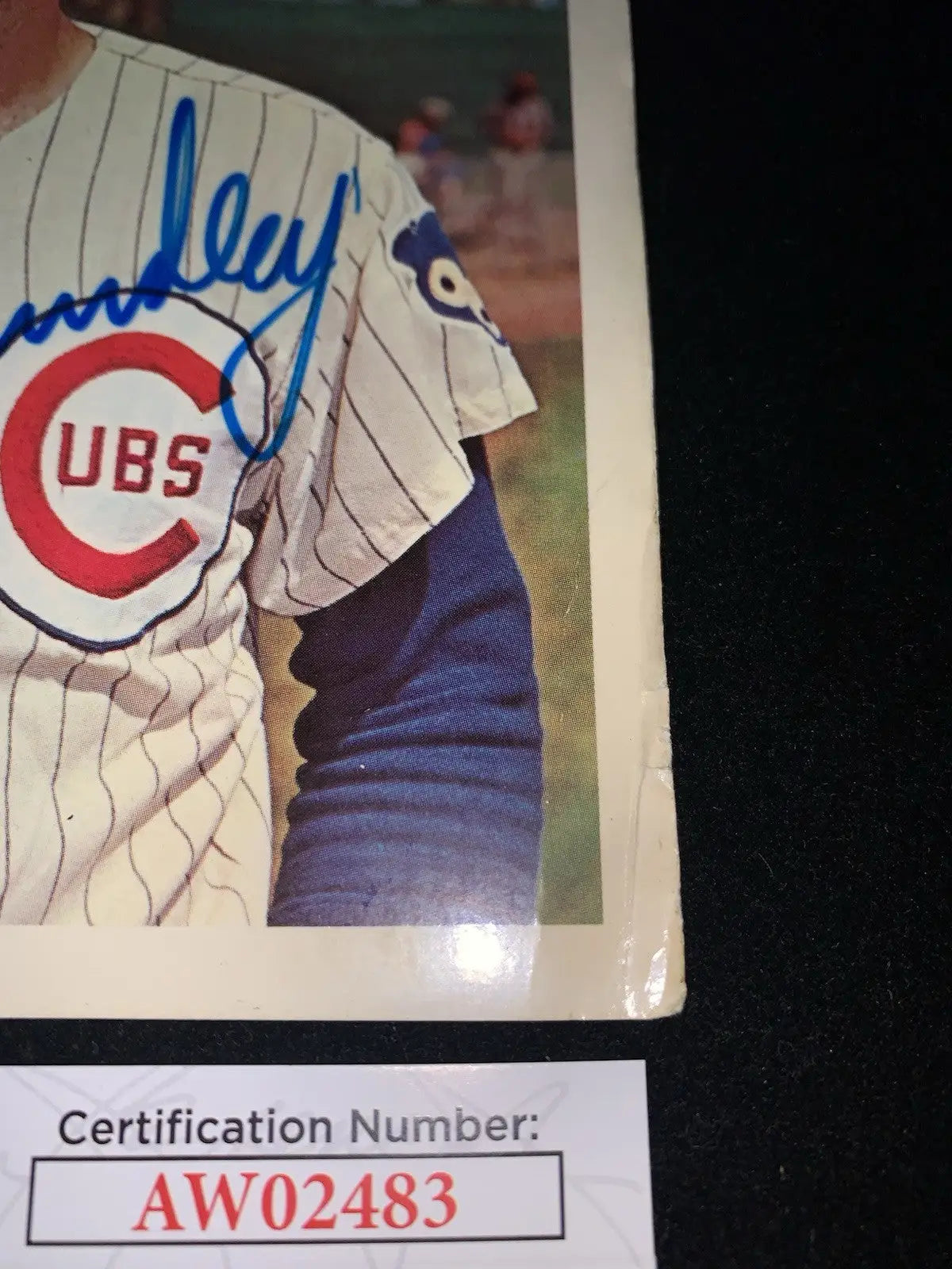 Signed Randy Hundley baseball card from 1967 Chicago Cubs Team Dexter Press