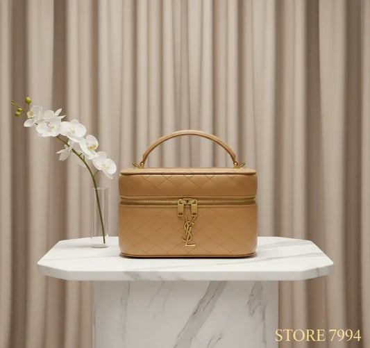 Saint Laurent Vanity Gaby Leather Handbag