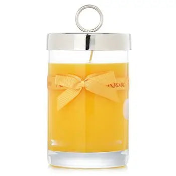 Scented Candle - # Tournesol - 230g/8.11 oz - 230g/8.11 oz / 1 - Home Scent