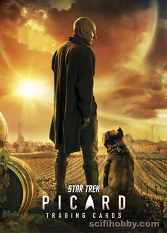 Promotional Star Trek Inflexions Metal P1 Trading Card featuring figure with dog at sunset