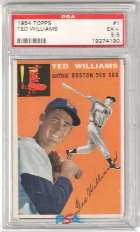 Graded 1954 Topps Ted Williams baseball card from Columbia Hobby with PSA 5.5 ex+ grade