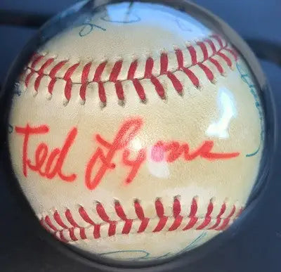 Official American League signed HOF baseball featuring Ted Williams in protective case