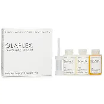 Traveling Stylist Kit - 4pcs - 4pcs / 1 - Hair Care