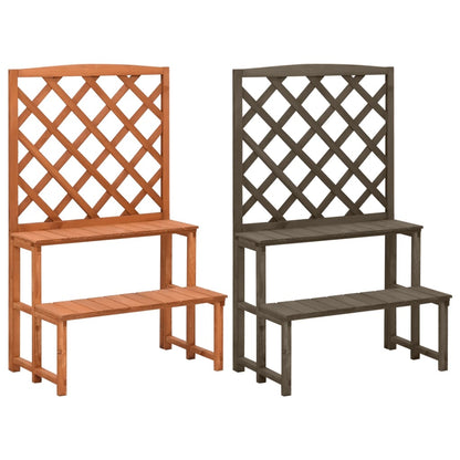 vidaXL Plant Rack 2-Tier Plant Stand with Trellis Flower Pot Stand Solid Wood-5