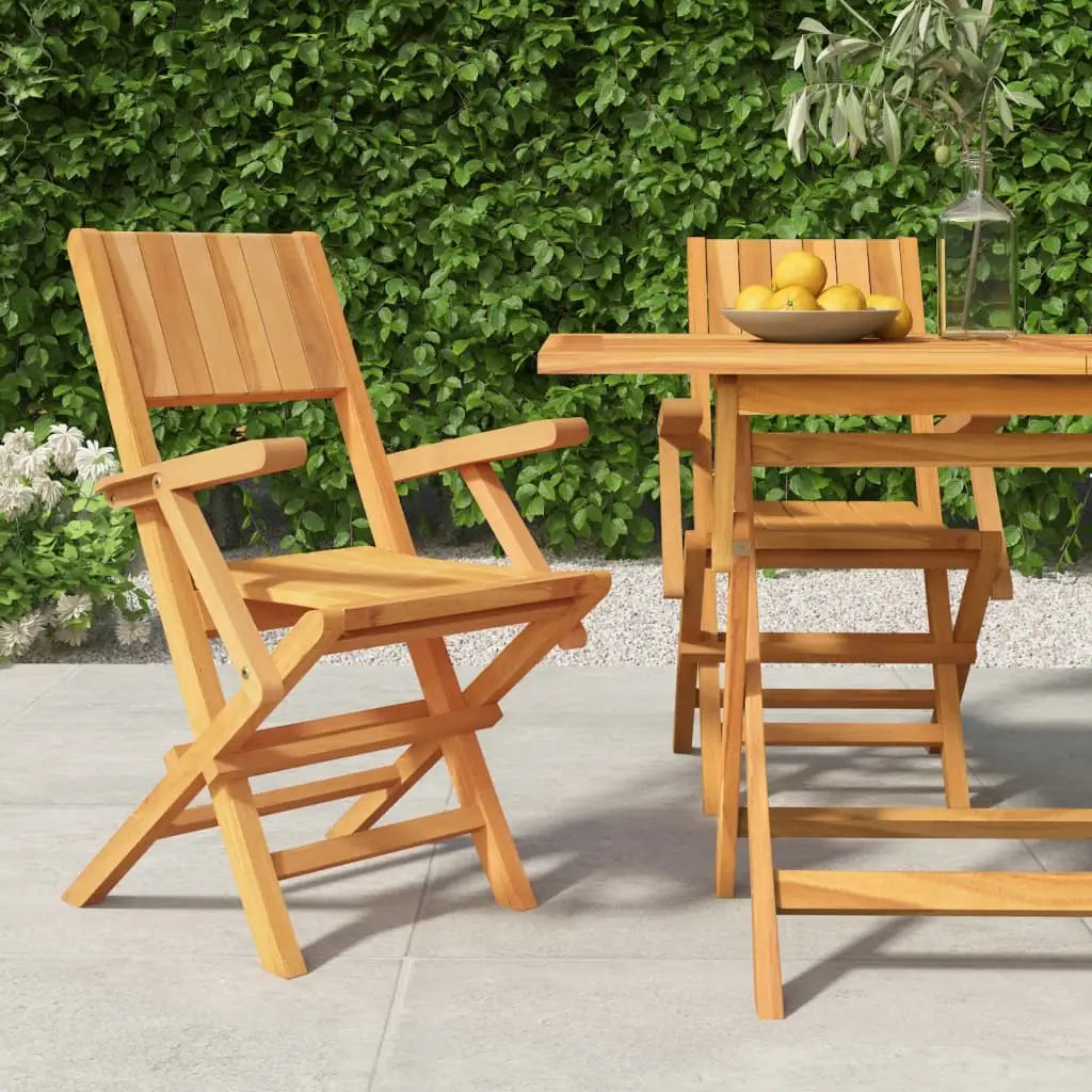 vidaXL Folding Patio Chairs 2 pcs 21.7’’x24’’x35.4’’ Solid Wood Teak - Outdoor Chairs