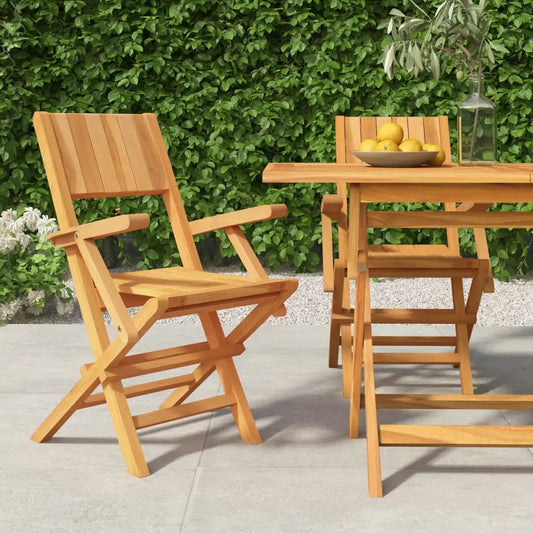 vidaXL Folding Patio Chairs 2 pcs 21.7’’x24’’x35.4’’ Solid Wood Teak - Outdoor Chairs