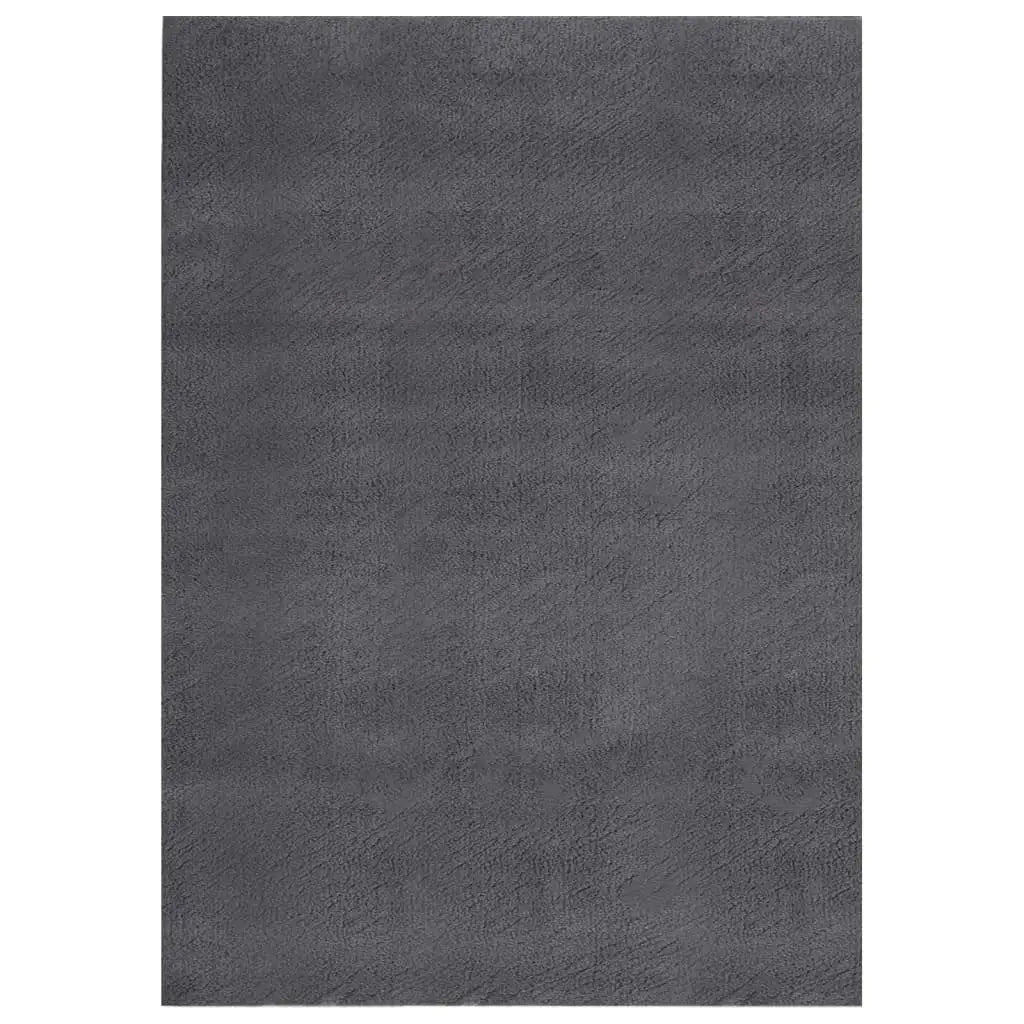 vidaXL Shaggy Rug Washable Anti Slip Area Rug Soft Fluffy Carpet Polyester - Home & Garden > Decor > Rugs