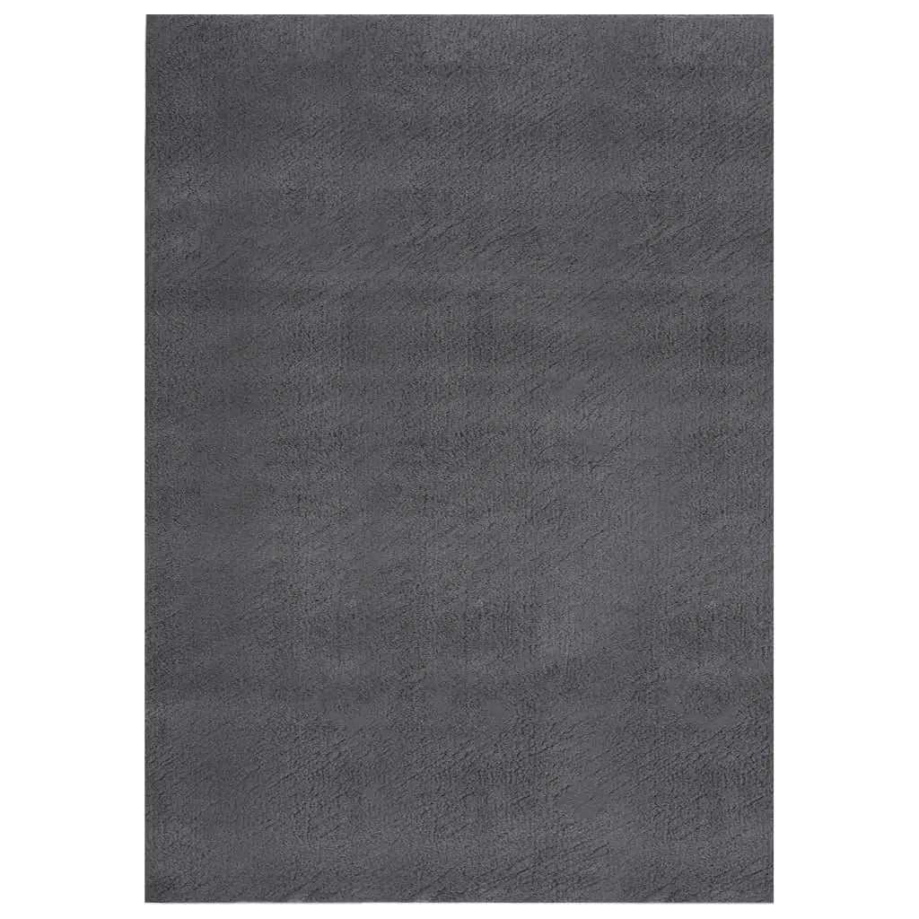 vidaXL Shaggy Rug Washable Anti Slip Area Rug Soft Fluffy Carpet Polyester - Home & Garden > Decor > Rugs