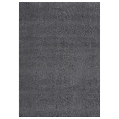 vidaXL Shaggy Rug Washable Anti Slip Area Rug Soft Fluffy Carpet Polyester - Home & Garden > Decor > Rugs