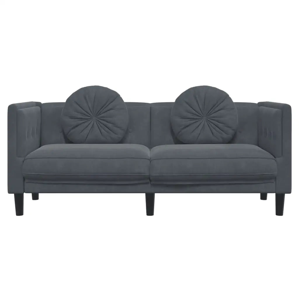 vidaXL Sofa with Cushions 2-Seater Dark Gray Velvet - Furniture > Sofas