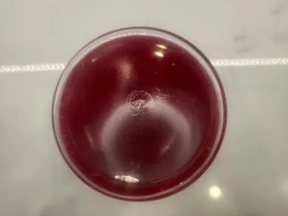 Vintage NCAA 1961-62 Ohio STATE BUCKEYE BASKETBALL NATIONAL CHAMPS - Drink Glass