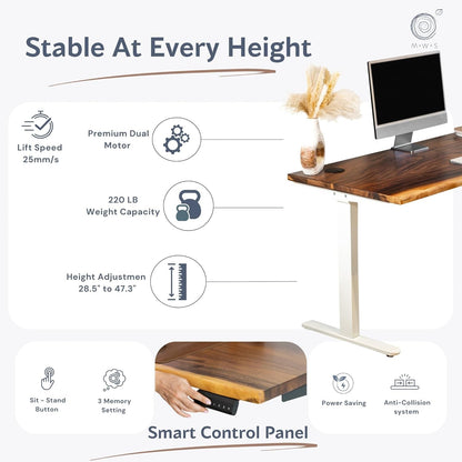Walnut Solid Wood Adjustable Height Standing Desk Home Office-2