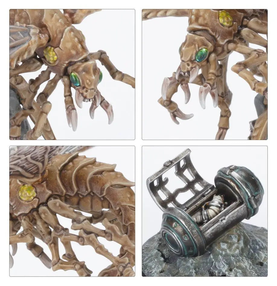 Close-up views of Ashwing Helamites from Warhammer NECROMUNDA Ash Waste Nomads