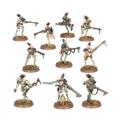 Painted Kroot Carnivores with weapons on bases from T’AU Empire collectible set