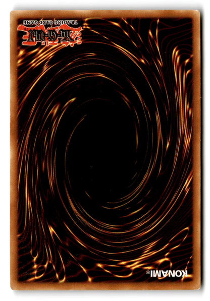 Yu-Gi-Oh TCG Kojikocy Kaiba Evolution Set card back showing quality card stock material